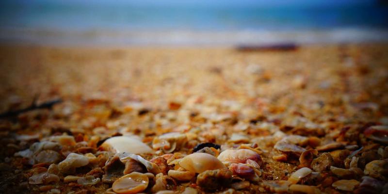 无锡太湖国家旅游度假区休闲指南：帆船体验、湖鲜美食与湖畔骑行全攻略