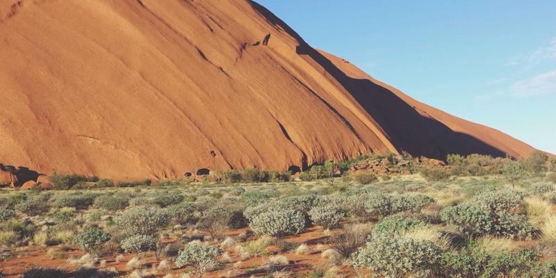 无锡宜兴竹海森林公园：避暑胜地、竹文化深度体验与特色农家乐全攻略