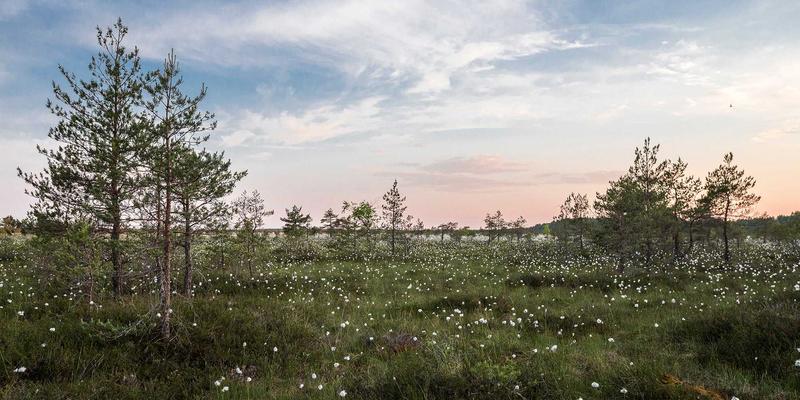 无锡宜兴紫砂壶制作体验：探访丁蜀镇工坊与选购指南，兼游灵山大佛与鼋头渚