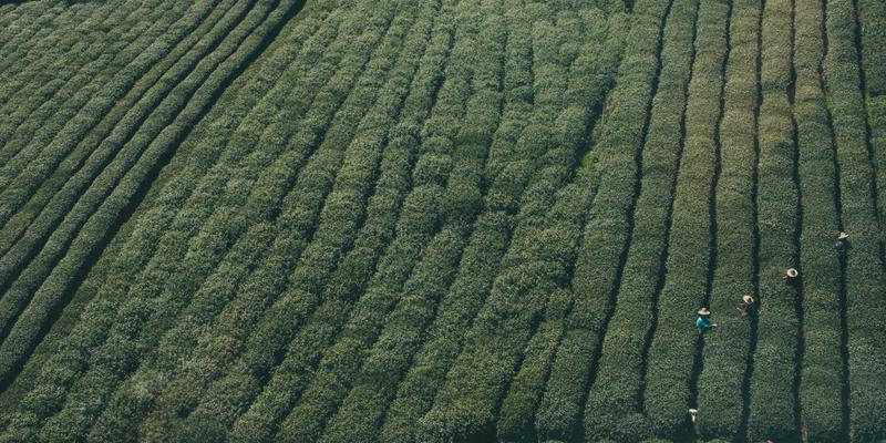 无锡影视基地三国水浒城全攻略：穿越古今的影视奇缘与灵山大佛周边美食指南
