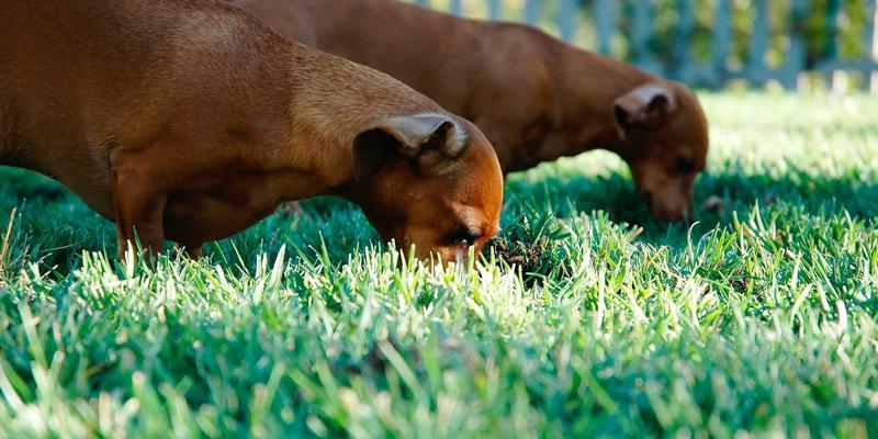 无锡旅游全攻略：品味舌尖至鲜，漫游鼋头渚仙境，解锁舒适住宿