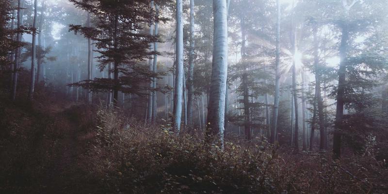 无锡旅游全攻略：解锁太湖明珠的景点、美食与住宿指南
