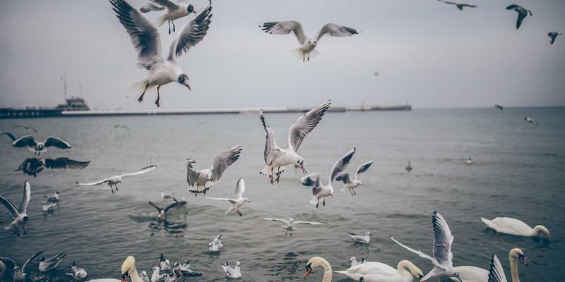 无锡旅游全攻略：邂逅太湖明珠，沉醉鼋头渚的诗画江南