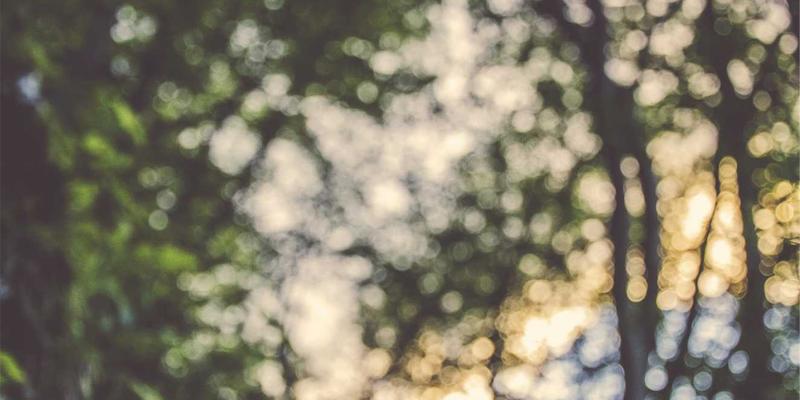 无锡旅游全攻略：邂逅鼋头渚的诗意，解锁景点与住宿的完美搭配