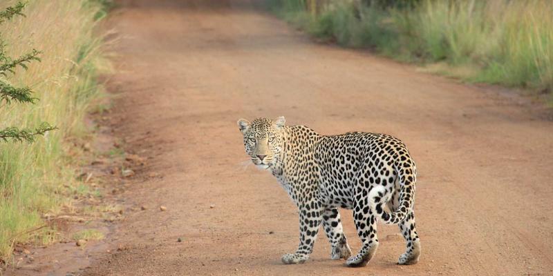 无锡梅园横山风景区赏梅全攻略：早春探访荣氏园林，品味江南梅韵与美食
