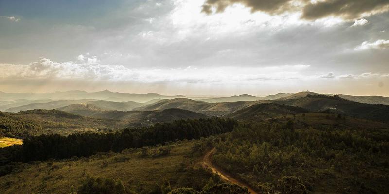 无锡灵山大佛一日游全攻略：行程安排、鼋头渚与地道美食指南