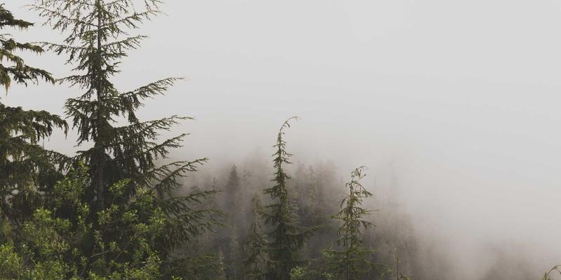 无锡蠡园四季赏花全攻略：从春桃夏荷到秋菊冬梅的园林美学与住宿指南