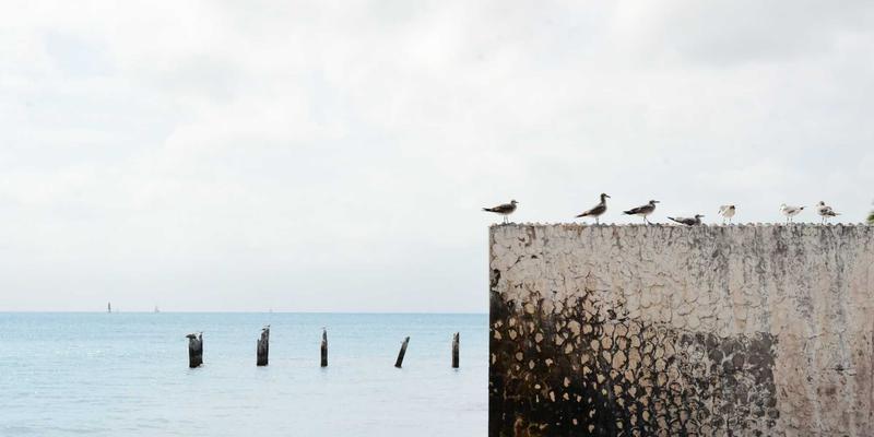 无锡蠡园四季赏花指南：春桃夏荷秋菊冬梅的园林美学与鼋头渚联动攻略
